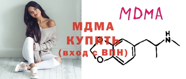 прущие грибы Новозыбков
