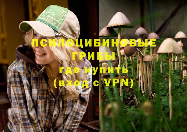 гидра Абаза
