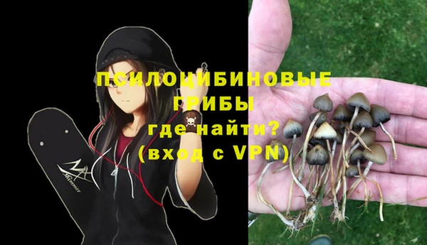 герыч Алзамай