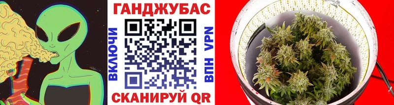 blacksprut зеркало  Динская  Бошки марихуана план  хочу наркоту 